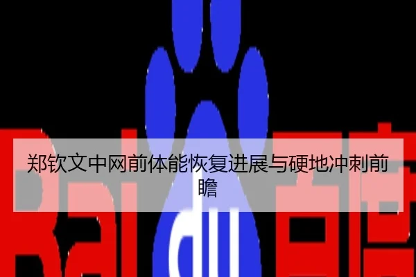 郑钦文中网前体能恢复进展与硬地冲刺前瞻
